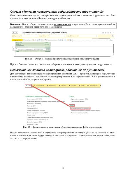 Файл:Рук БКИ. Редакция 3.0.pdf