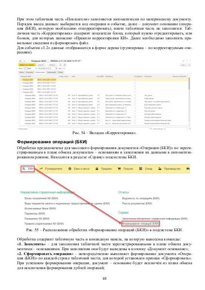 Файл:Рук БКИ. Редакция 3.0.pdf