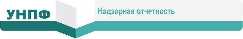 Файл:555156 ОтчетностьНФО.jpg